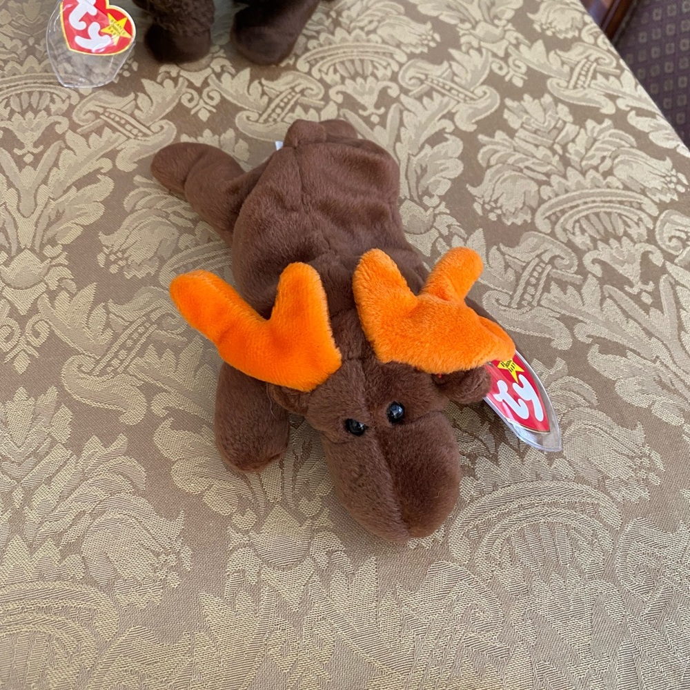 FREE Beanie Baby - Picture 11 of 11